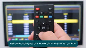 اضبط الآن تردد قناة بسمة الجديد لمتابعة أجمل برامج الكرتون بإشارة قوية